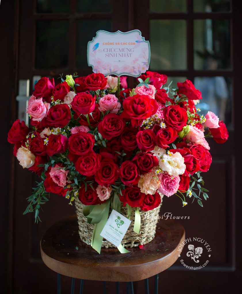 Tình yêu, sự lãng mạn được thể hiện qua màu đỏ của loài hoa hồng này