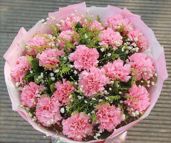 Ý nghĩa tặng hoa cẩm chướng cho sự ngọt ngào, sự yêu mến người được tặng