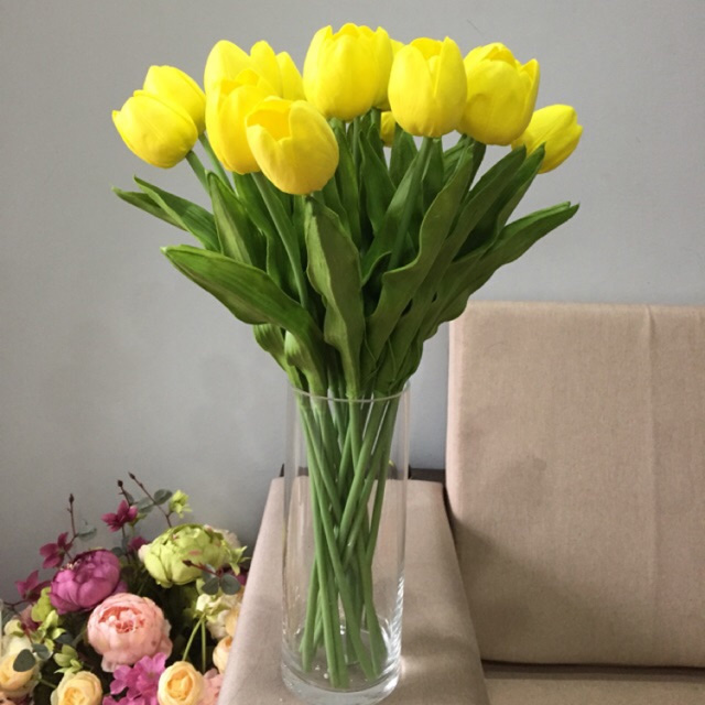 Hoa tulip Hà Lan là một trong những loài hoa hấp dẫn nhất trên trái đất