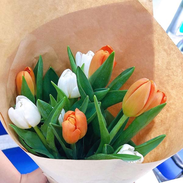 Ý nghĩa của loài hoa Tuylip - Mang tình yêu nông nàn của đôi lứa
